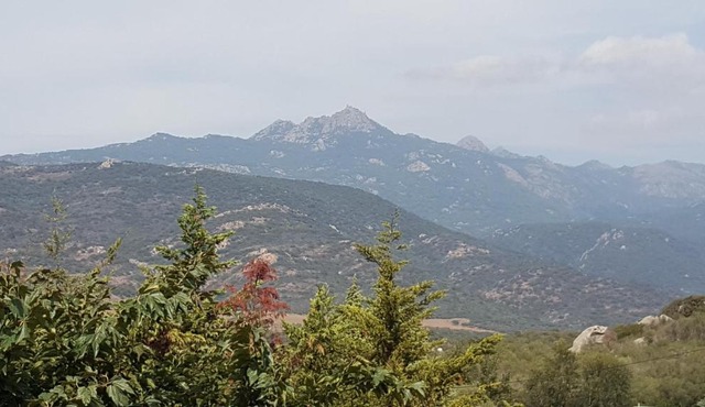 Macchie e Fiori