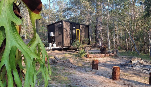 Magic Bush Stay Yamba Hinterland by Tiny Away