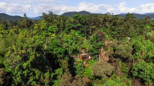 Magic Mena Rainforest Retreat by Tiny Away