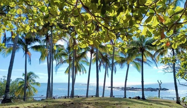 Magic place with ocean view & direct beach access - A wood house in paradise