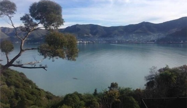 Magical Harbour Views 2