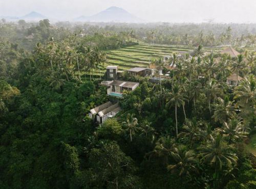 Magical Jungle Resort