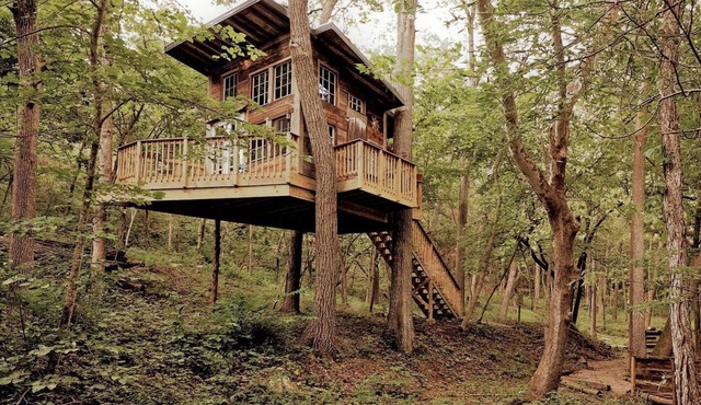 Magical Tree House Rental near Kansas City for Glamping in Missouri