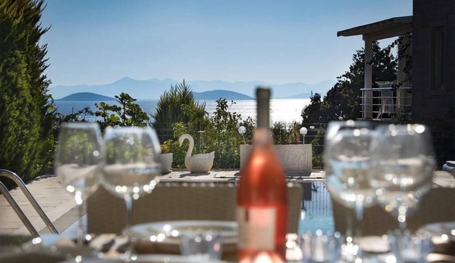 Magical view, private pool, stylish