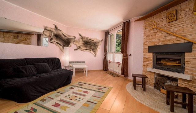 Magnificent 4-pers studio with fireplace