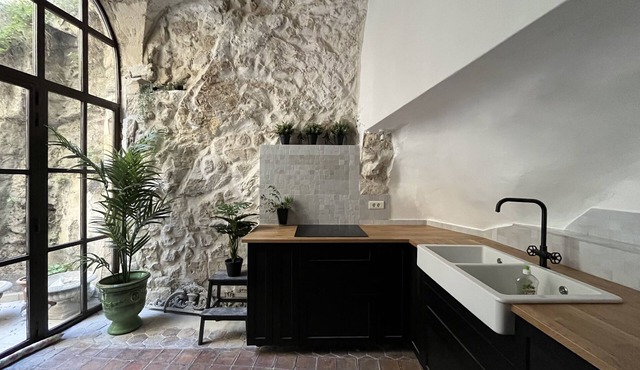 Magnificent historical flat-recently renovated!