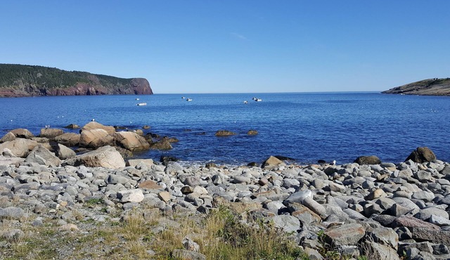 Magnificent Oceanfront Cottage in Flatrock- 12 minutes from St. John's (YYT)