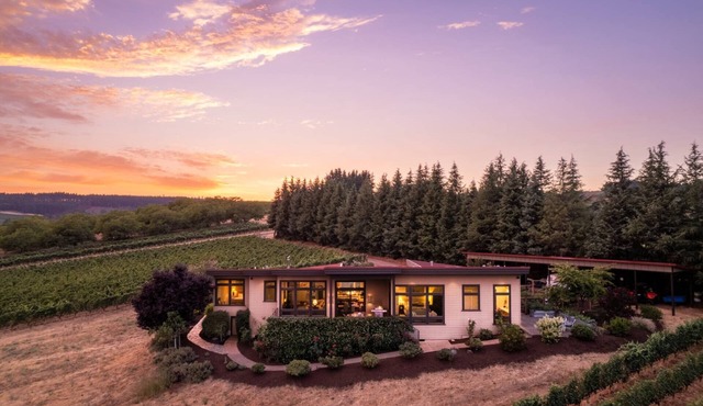 Magnificent Panoramic Valley and Vineyard Views, Single Level Two Guest Suite Layout, Amazing Deck
