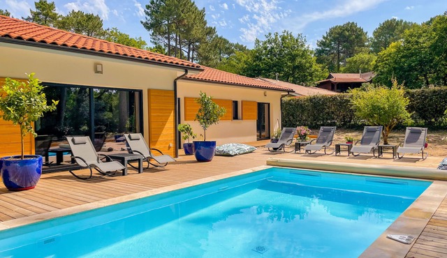 Magnificent villa with swimming pool