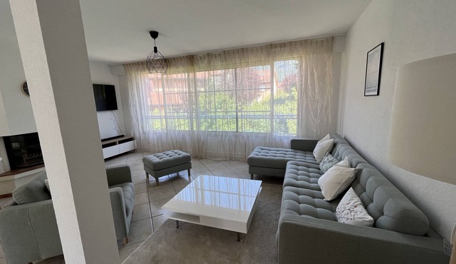 Magnificent villa with swimming pool, 10mn from Geneva and 20mn from Annecy