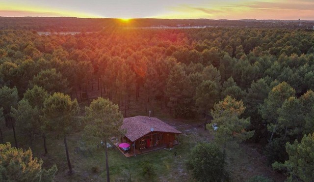 MAGNIFICENT WOODEN VILLA IN THE HEART OF THE PYLA FOREST 10 Min from the Beach