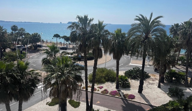 Magnifique Studio Front de Mer Baie de Cannes