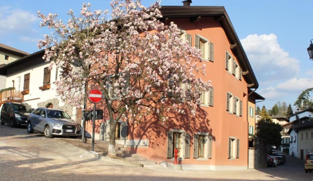 Magnolia Levico