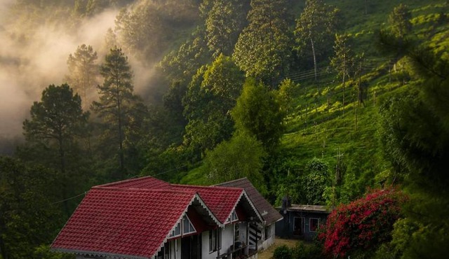 MAHAMAYA'S - Home in the Himalayas