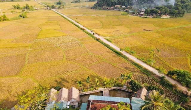 mai chau rice fields homestay