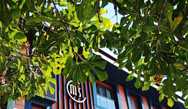 Maidos Suites