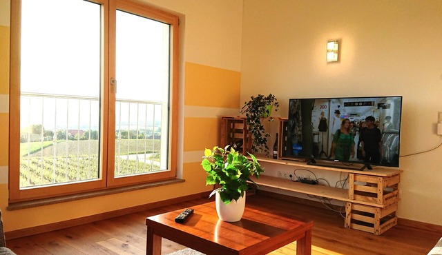 Main vacation in the vineyard