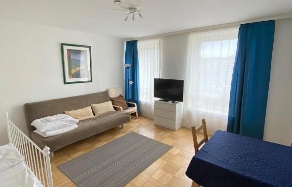Mainhatten Apartment