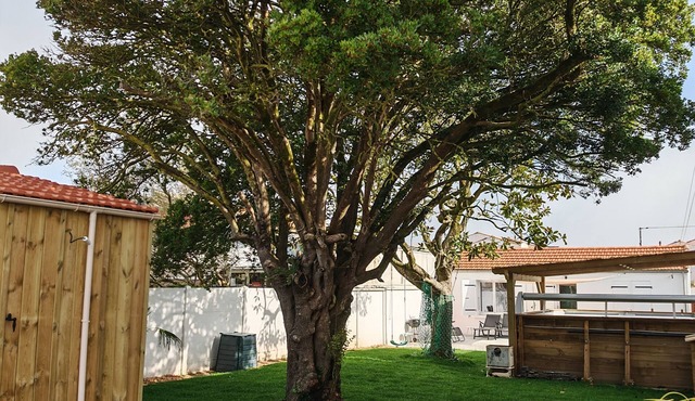 Maison 6 Personnes 50 m Port de la Cotinière, Jardin Ombragé et Clos
