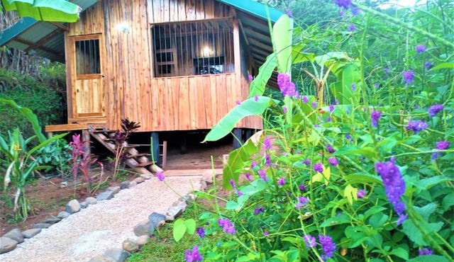 Maison avec wifi climatisation jacuzzi