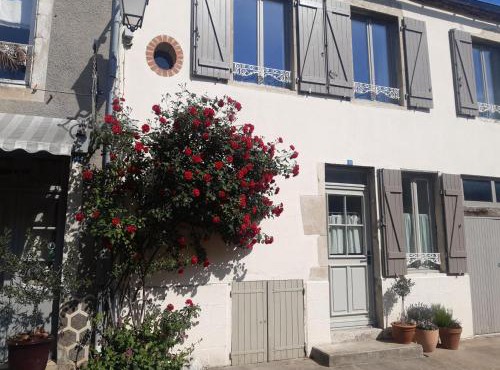 Maison de charme avec jardin clos et animaux admis à Charroux - FR-1-489-538