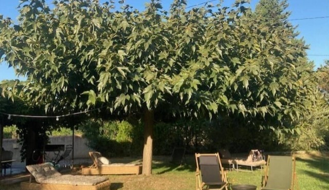 Maison de Charme en Provence, Dans un Cadre Verdoyant, Entre Alpilles et Lubéron