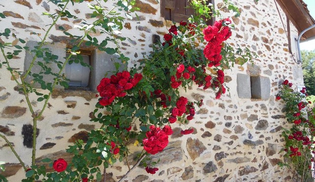Maison de Vacances Le Ranfort