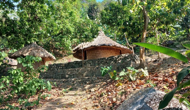 Maison Indigène Avec Cascade Privée et Salle à Vivre Tout Équipée !