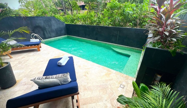 Maison Pierre Leroy - Private Pool High Speed Wifi
