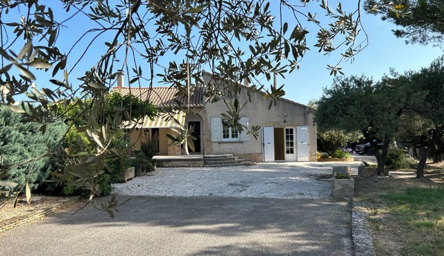 Maison Provençale au Milieu des Oliviers et des Pins