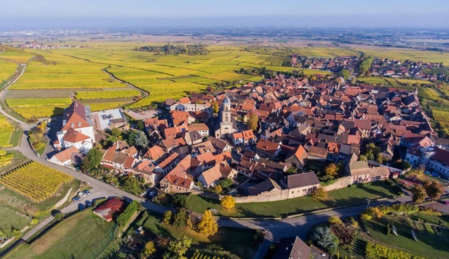 MAISON SIMMLER