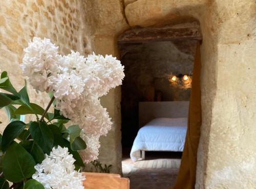 Maison Troglodyte La Hulotte - Charme et tranquillité