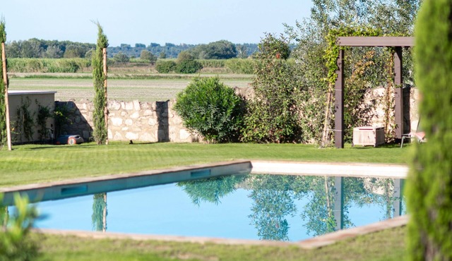 Maison Violette Paradou - pool - garden