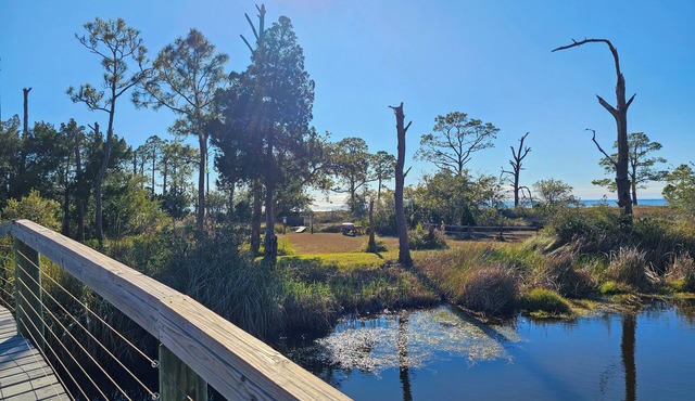 Make Waves for LESS 20% OFF! Ground Level, Bayside Retreat w/bay access!