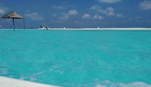 Maldives Dive Loabi