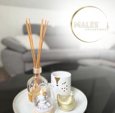 MALES Appartment