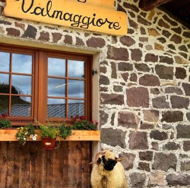 Malga Valmaggiore