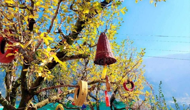 Manali Heart Villa