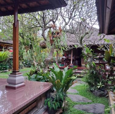 Mandala Bungalows
