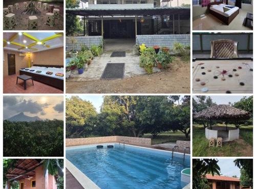 Mango Bite Farmstay