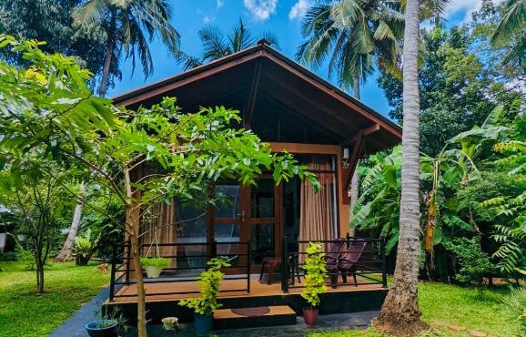 Mango Tree House