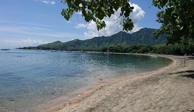 Mango Tree Inn