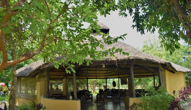 Mango Tree Lodge