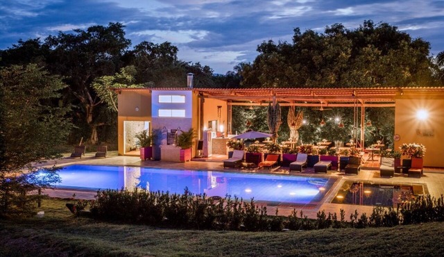 Mangoo Glamping