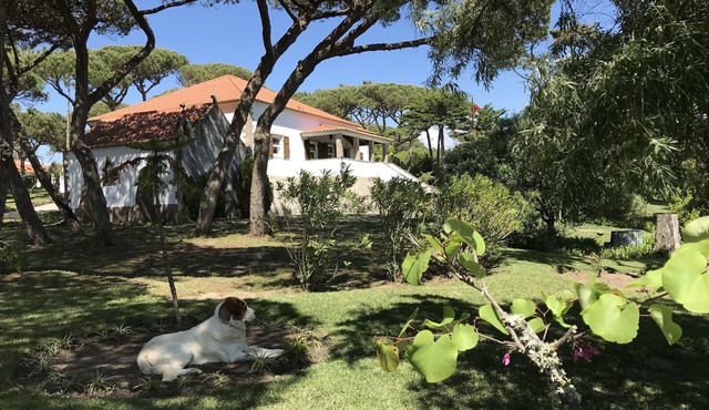Manor House private pool/near the beach in Sintra/Cascais Natural Park