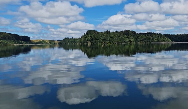 Manu Waiata - Otautu Bay, Lake Rotoehu