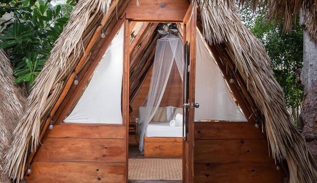 Mapache Hostel