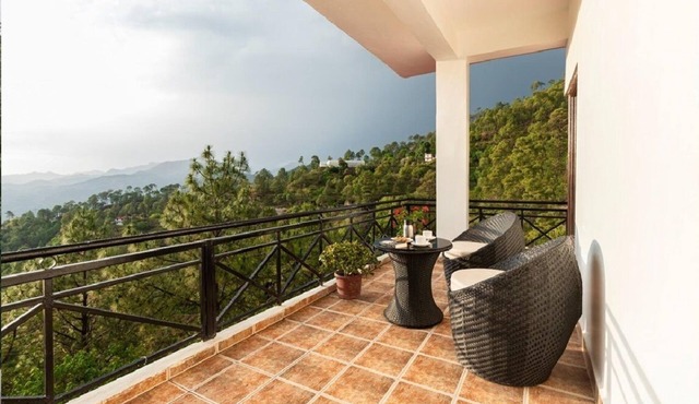 Maple Resort Chail