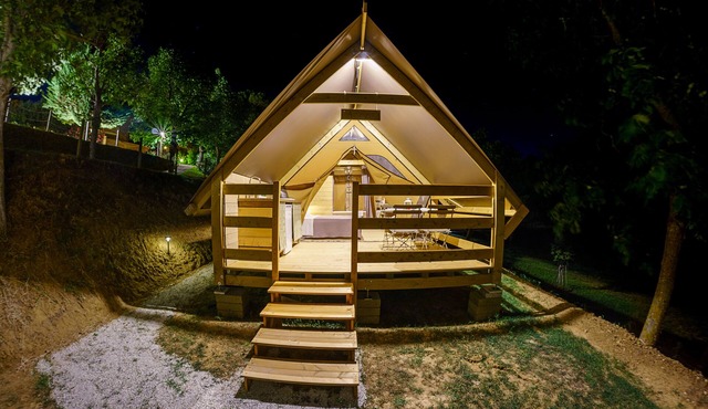 Maple tree tent with pool
