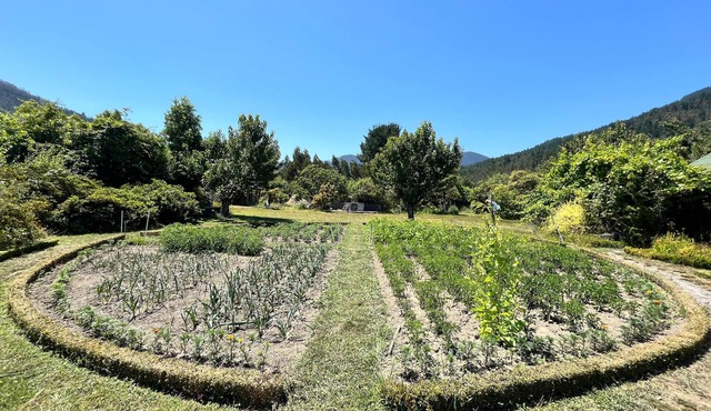 Mapuche Trekan